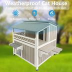 feral cat shelter