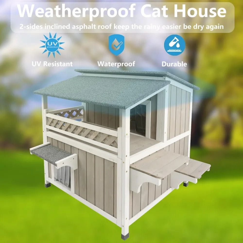 feral cat shelter
