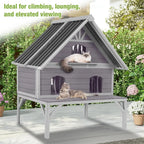 Weatherproof feral Cat Shelter