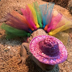 Bearded Dragon Costume Hat