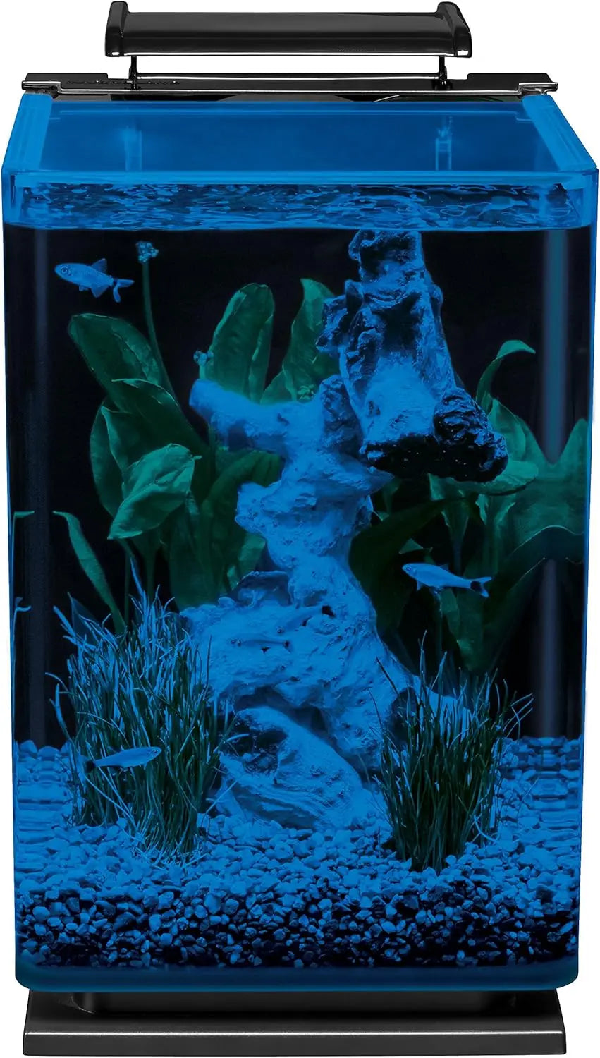 5-Gal Glass LED Aquarium Kit