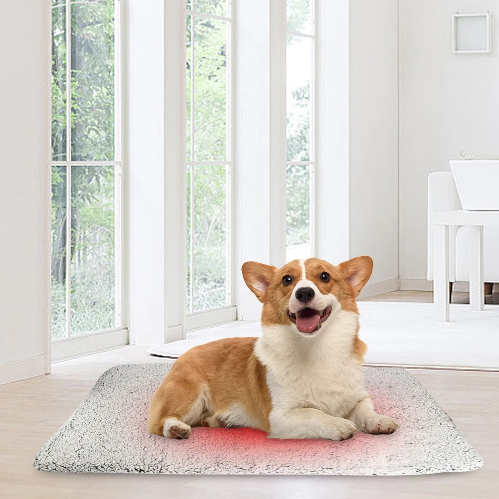 Self-Heating Cat/Dog Bed