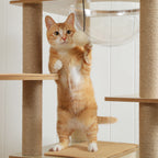 Multi-Level Cat Tree