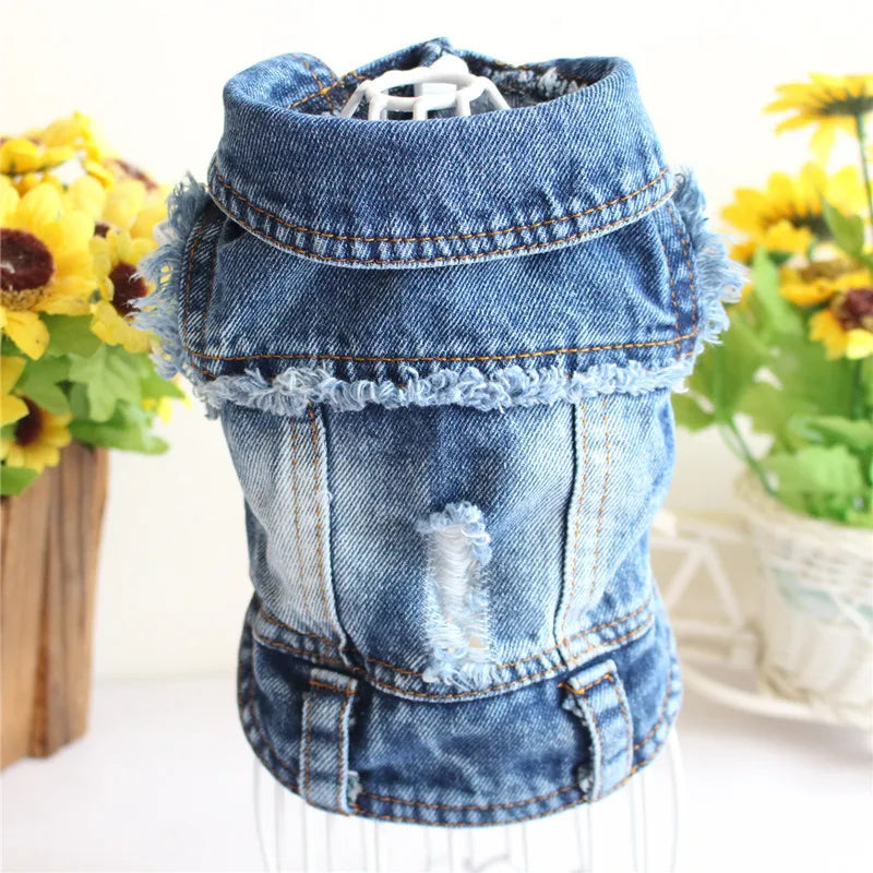 Denim Dog Clothes