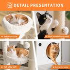 Cat Tree/Hidden Litter Box