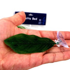 Betta Fish Leaf Hammock