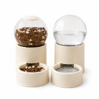 Keep Cats Fed & Hydrated Easily