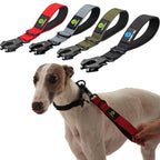 Short Dog Leash Traffic