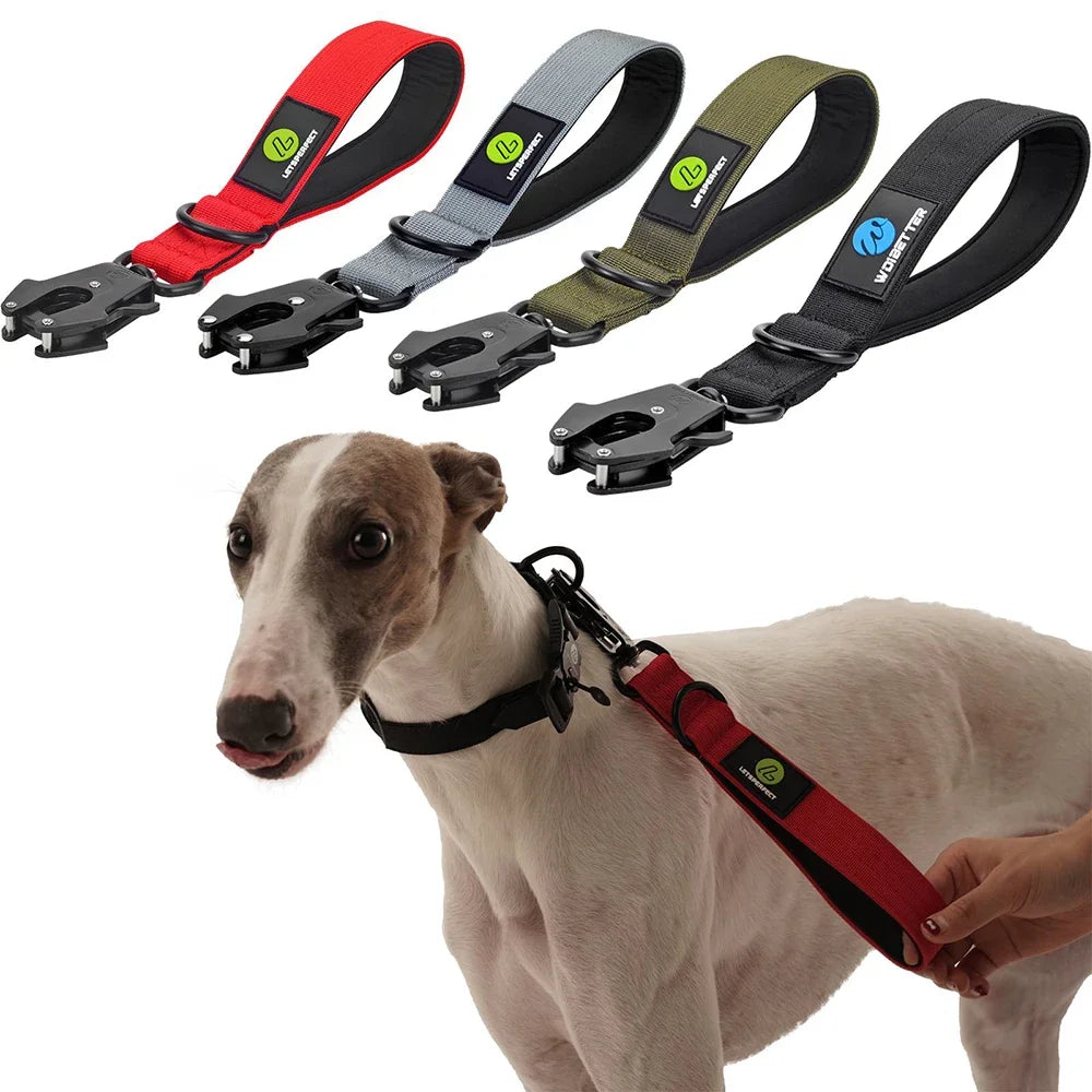 Short Dog Leash Traffic