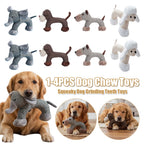 Squeaky Grinding Teeth Toys