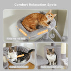 Multi-Level Cat Tree