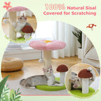 Small Cat Scratching Posts