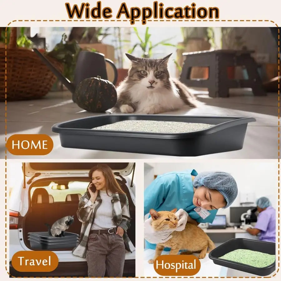 Low Entry Senior Cat Litter Box