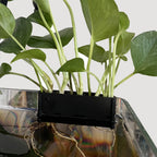 Aquarium Plant Support Basket