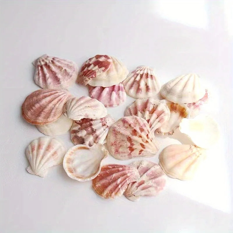 20pcs Pink and White Series Sea-Shells