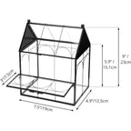 Glass Enclosure for Insect, Jumping Spiders