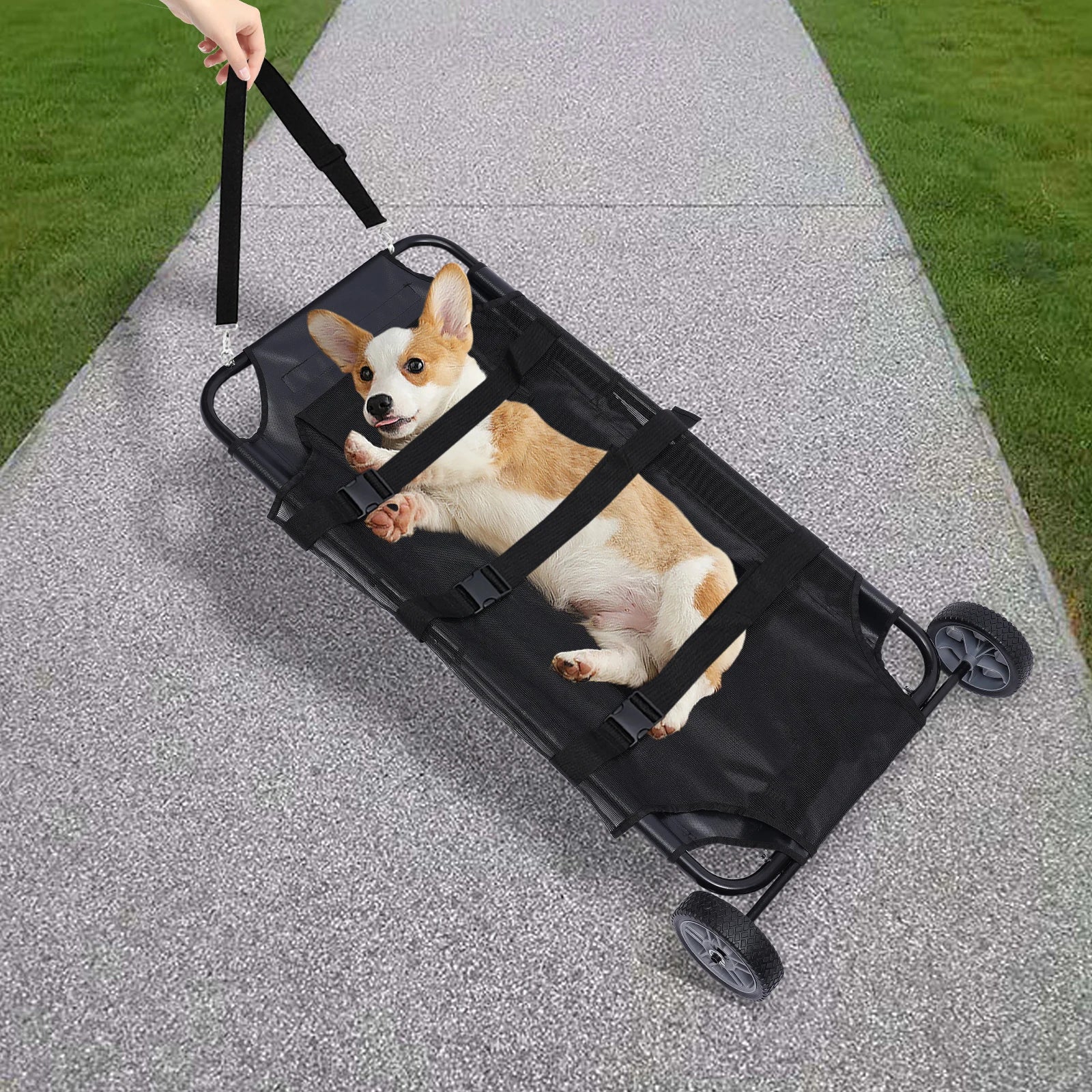 L Animal Stretcher with Wheels
