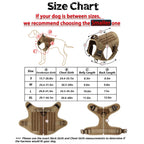 Large Dog Harness/Leash Set