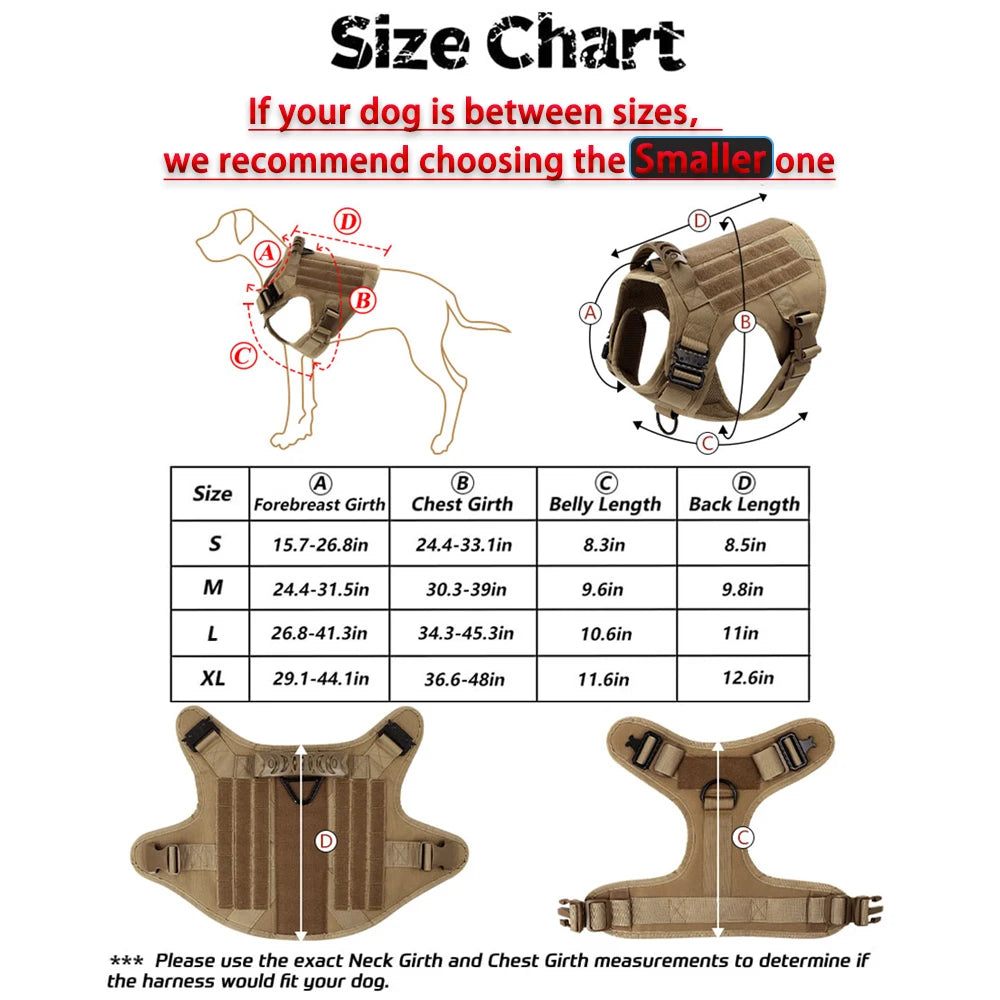 Large Dog Harness/Leash Set
