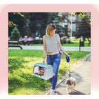 Bearded Dragon Travel Carrier