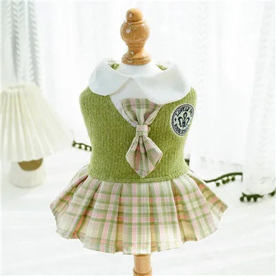 College Style Dog Dress