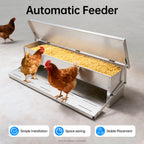 Automatic Chicken Feeder