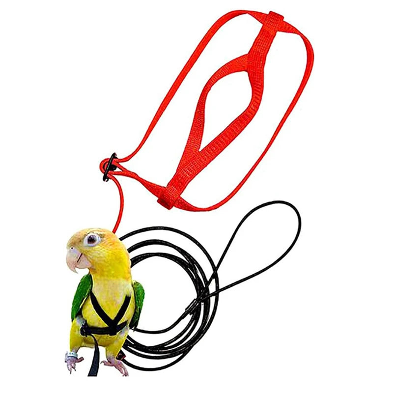 Bird Harness/Leash Activities