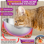 Elevated Cat Bowls Set of 2