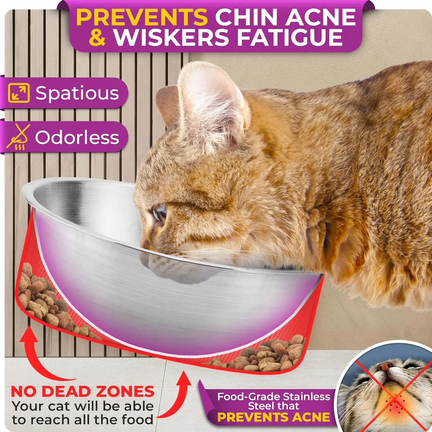 Elevated Cat Bowls Set of 2