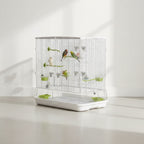 Bird Cage Home