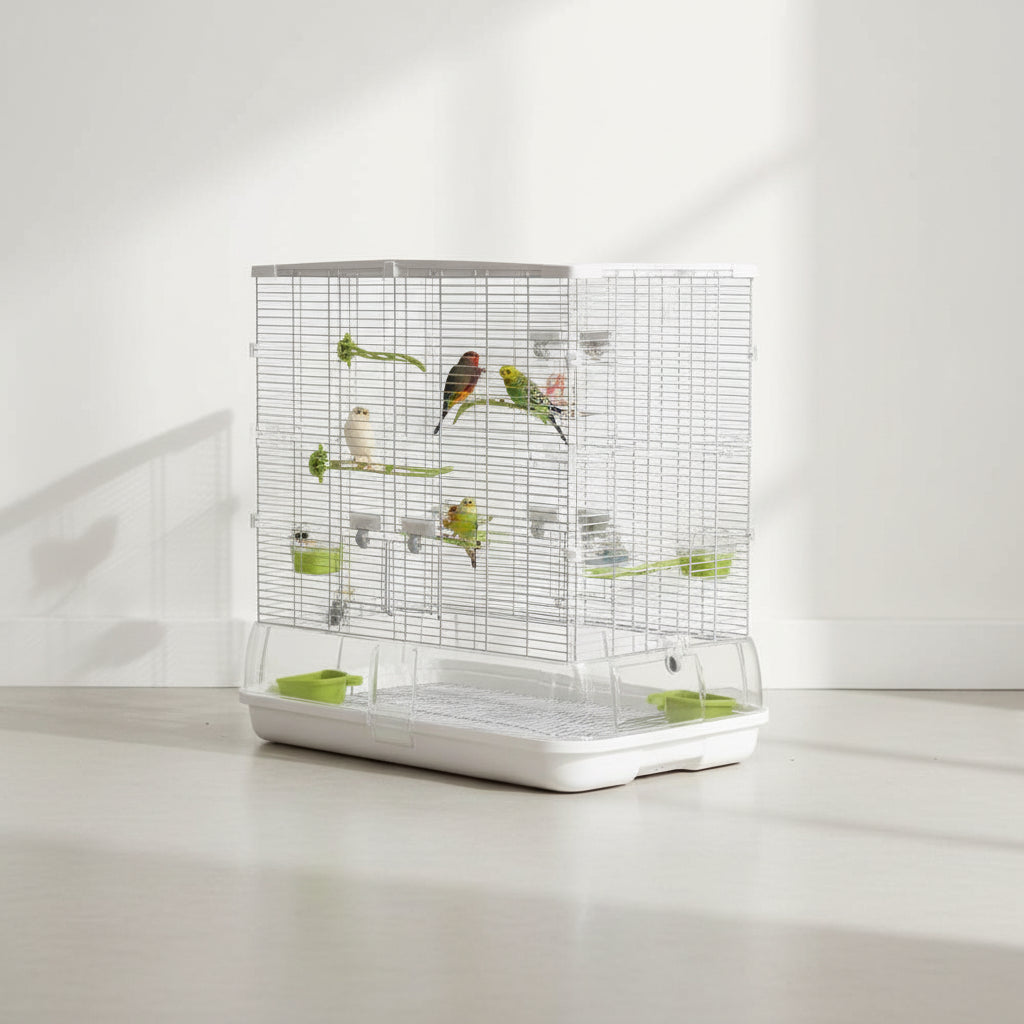 Bird Cage Home