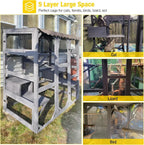 Cat House