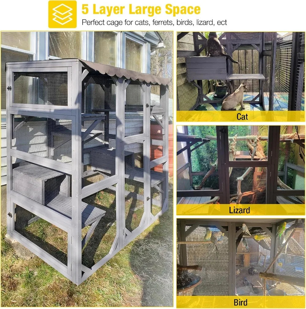 Cat House
