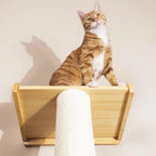Tall Leaning Cat Tree