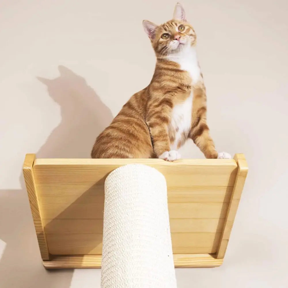Tall Leaning Cat Tree