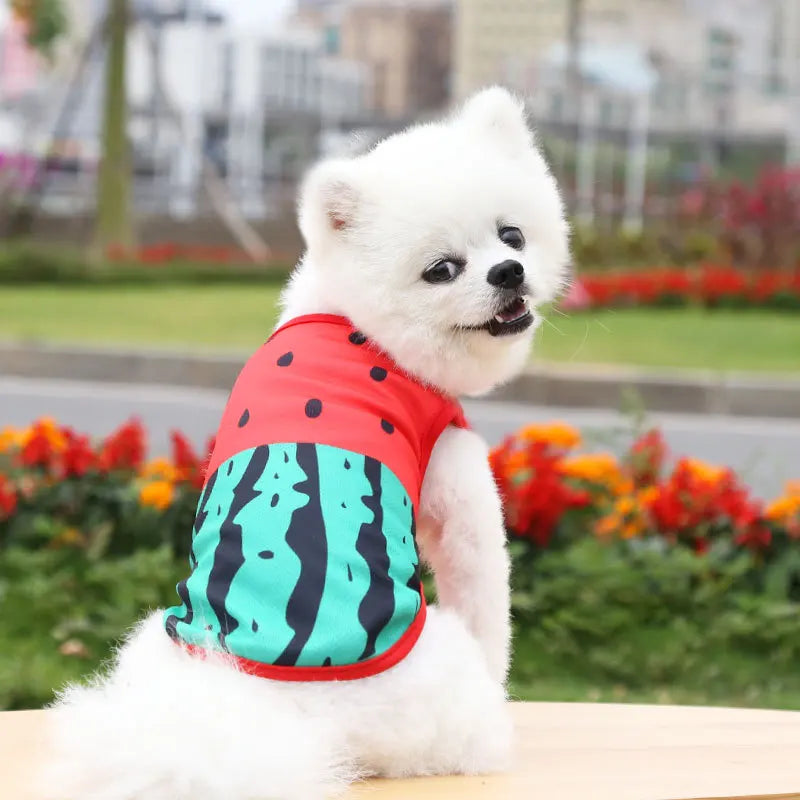 Cartoon Print Cotton Apparel