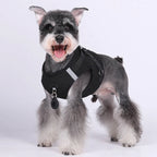 Pet Harness With Air-tag Tracker/Leash Set