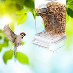 No Mess Bird Feeders