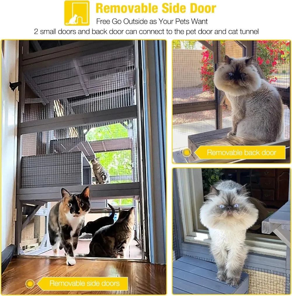 Cat Enclosure 70"