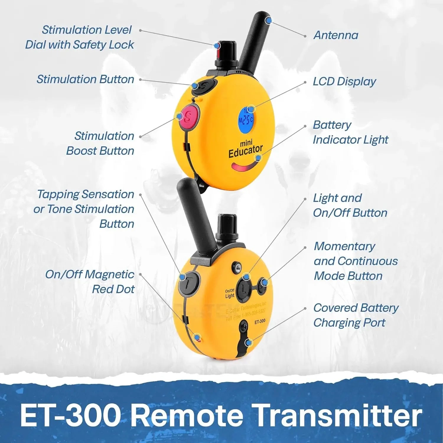 Mini E Collar for Dog Training with Remote