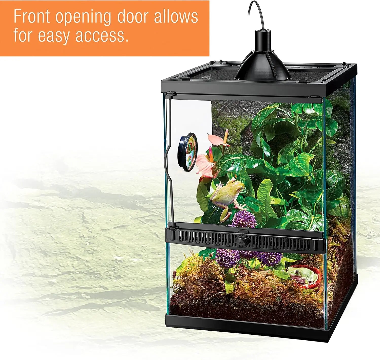 11 Gal Vertical Terrarium Starter Kit