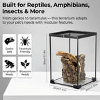 Glass Tarantula Enclosure