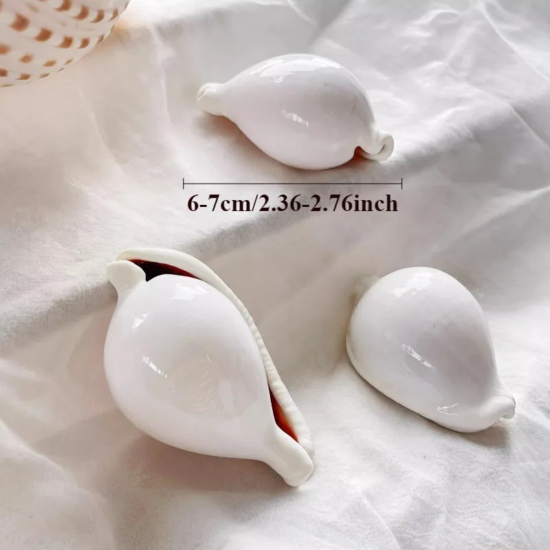 1pc Pure White Conch Shell