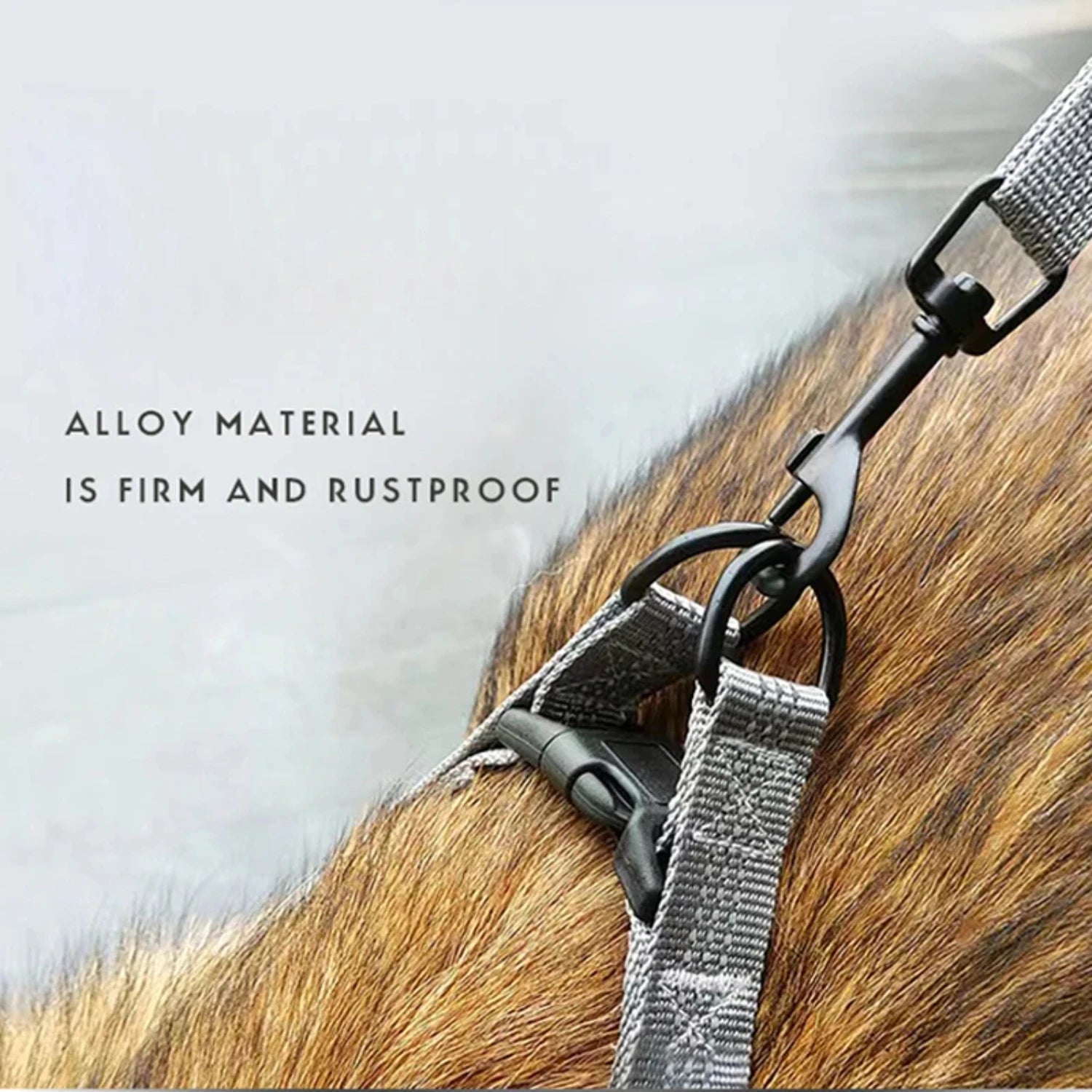 Adjustable Dog Y Harness S/M/L