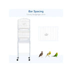 Bird Cage Starter Kit