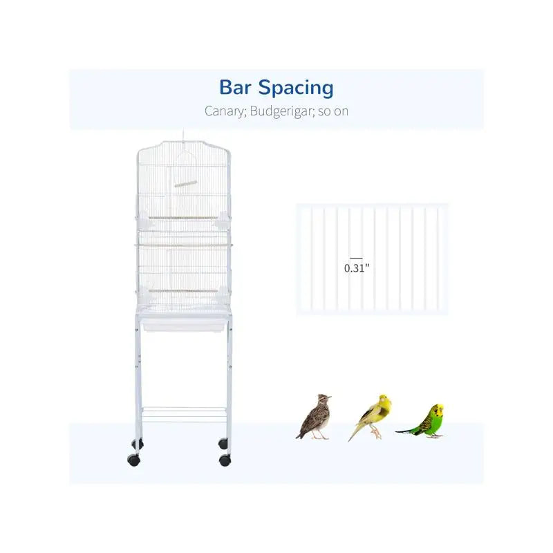 Bird Cage Starter Kit