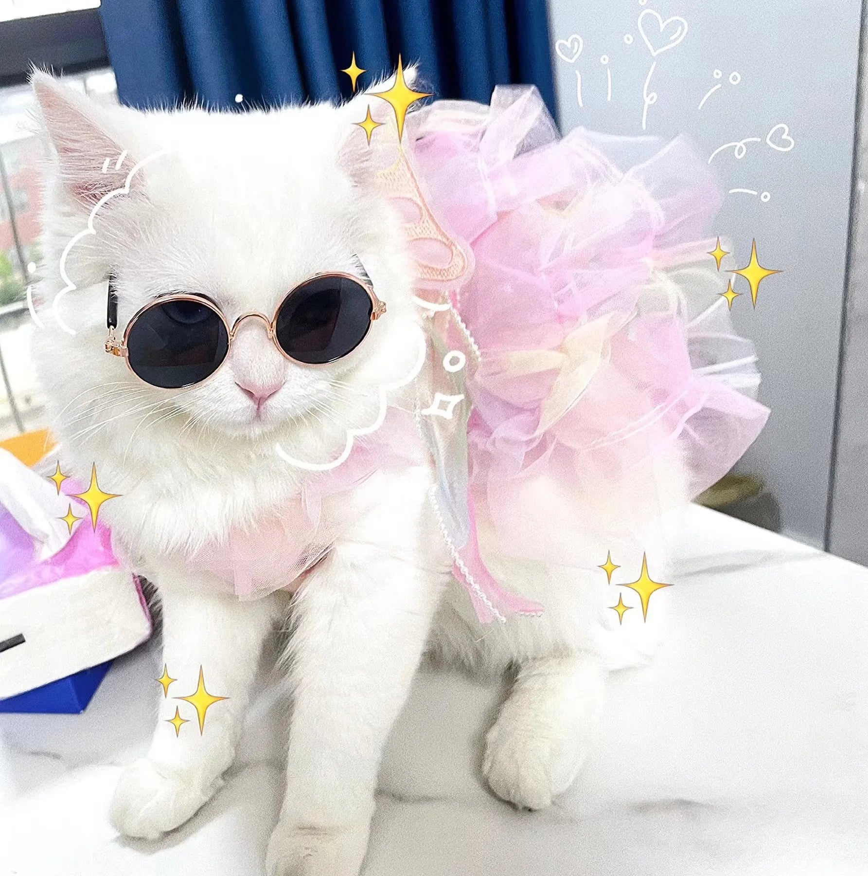 Dog/Cat spring princess Dress