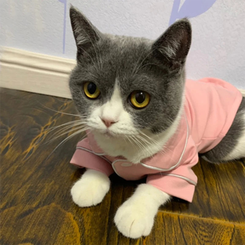 Cat Costume Sphynx Sweatshirt Suit