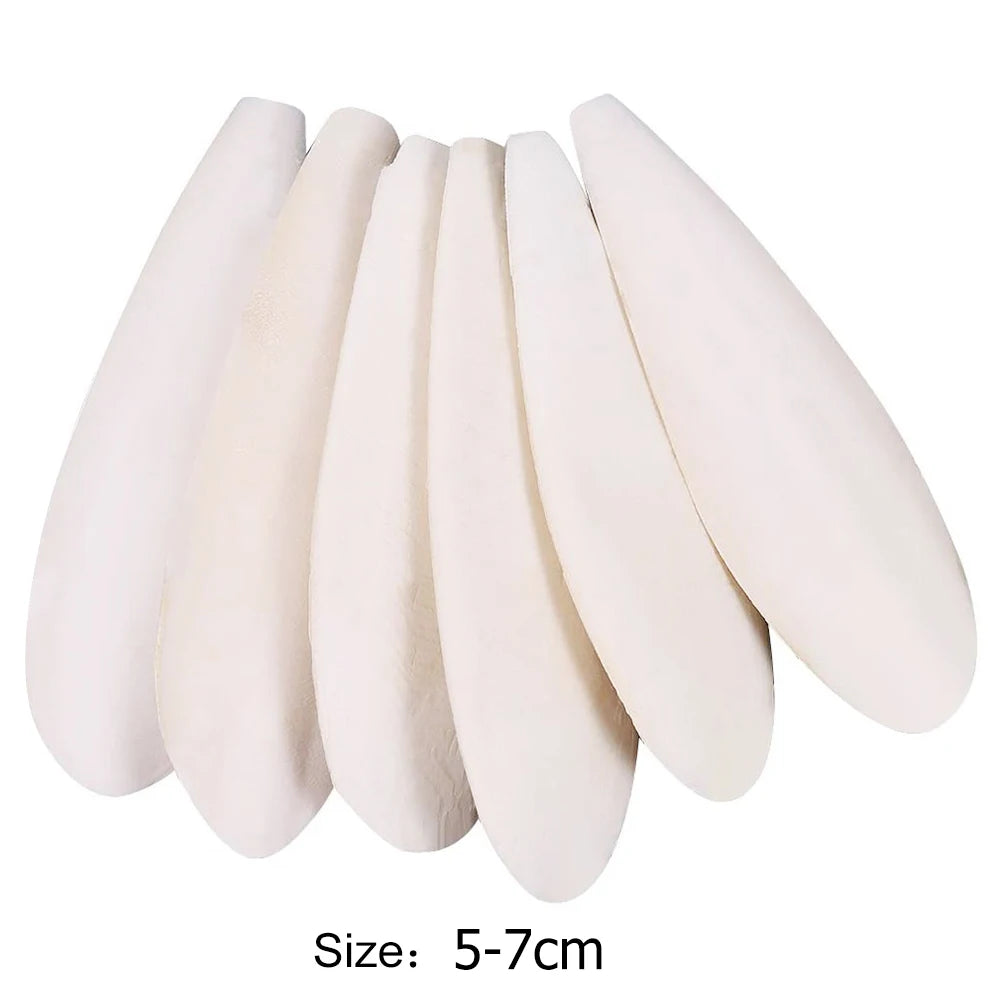Cuttlefish Bone Chewing Toys