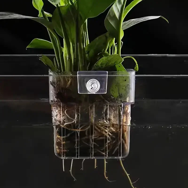 1PC Hydroponic Planting Cup